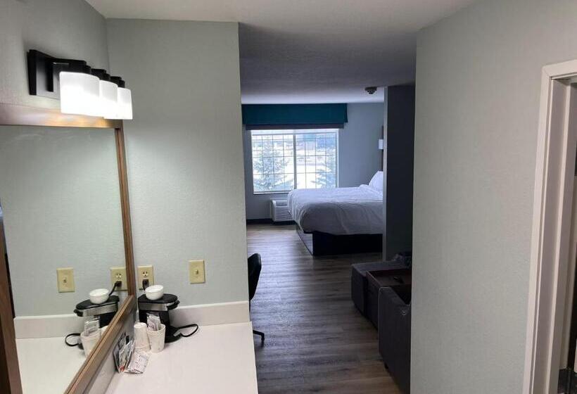 带大床的套房, Wingate By Wyndham