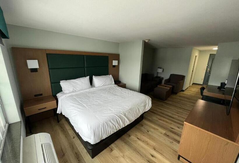 带大床的套房, Wingate By Wyndham