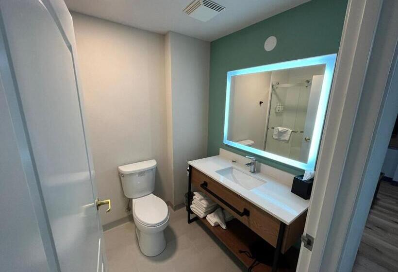 带大床的套房, Wingate By Wyndham