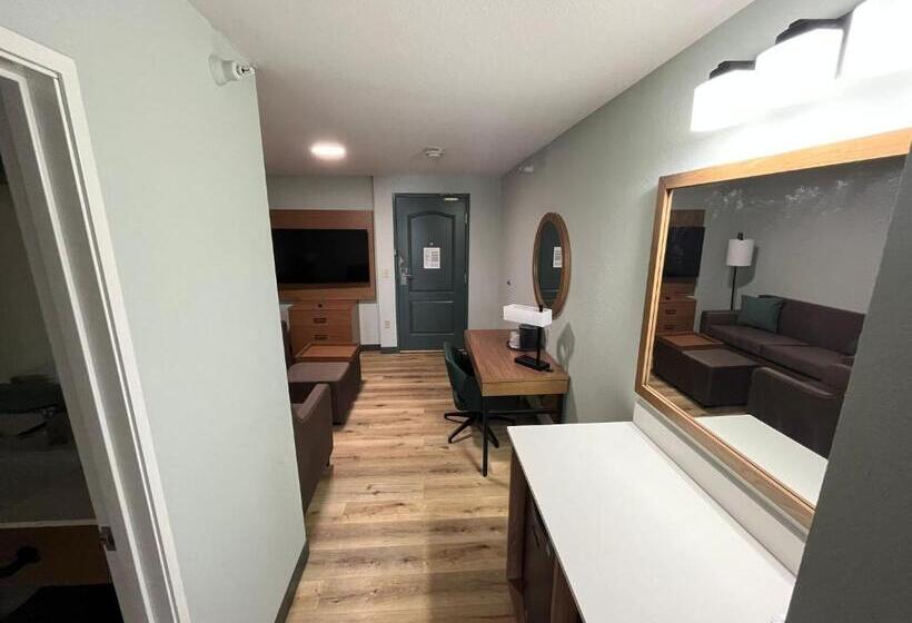 带大床的套房, Wingate By Wyndham