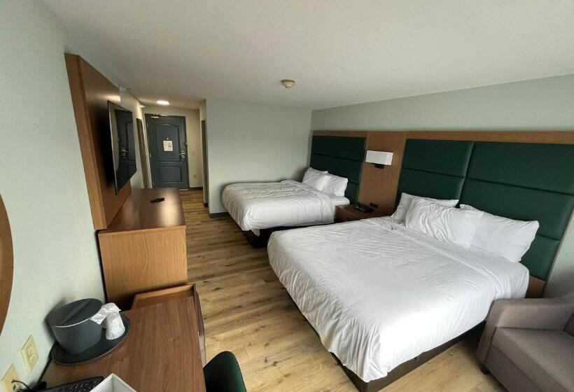 残疾人使用的带特大床的标准间, Wingate By Wyndham