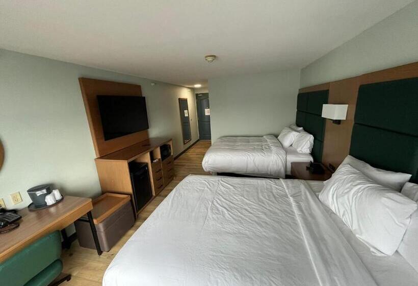 残疾人使用的带特大床的标准间, Wingate By Wyndham