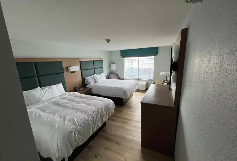 身障者適用クイーンサイズベッドルーム, Wingate By Wyndham