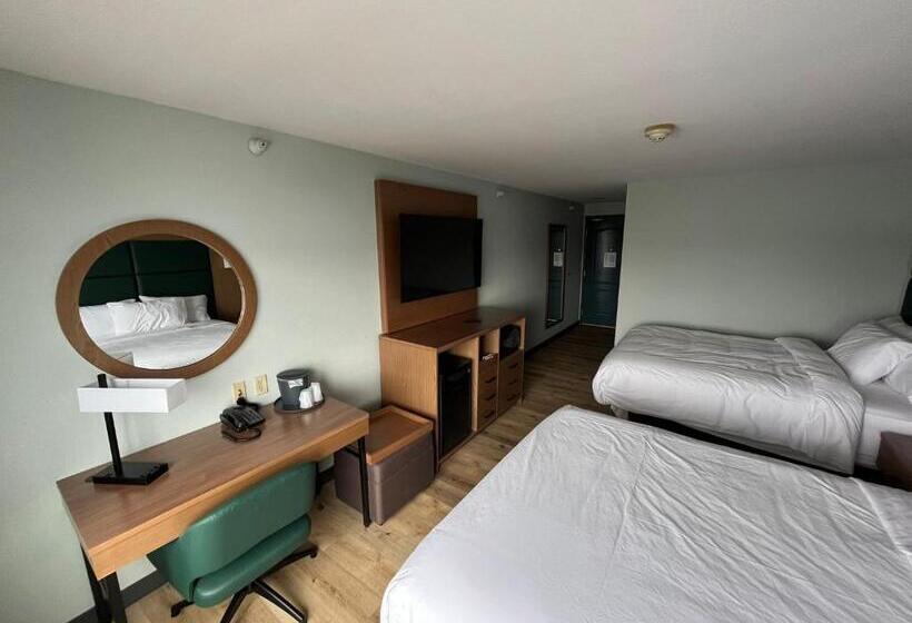 标准间, Wingate By Wyndham