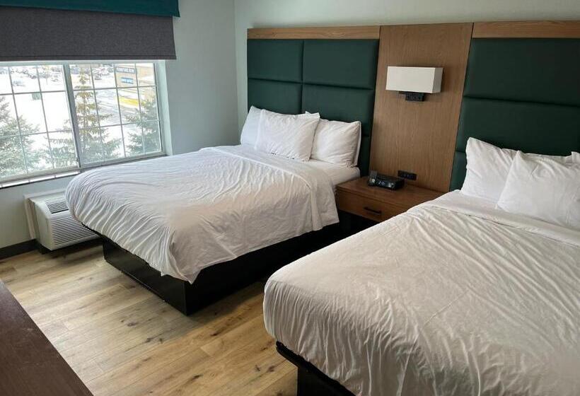 套房, Wingate By Wyndham