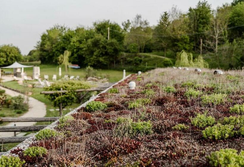 חדר סטנדרט לארבעה, Casa Viva