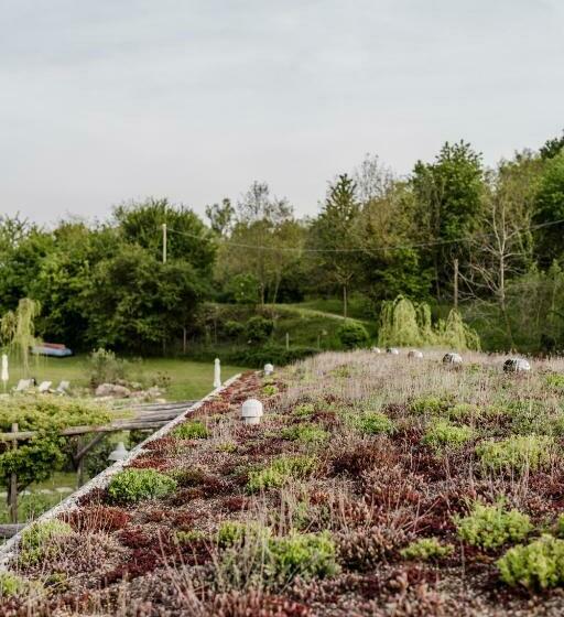 חדר סטנדרט לארבעה, Casa Viva