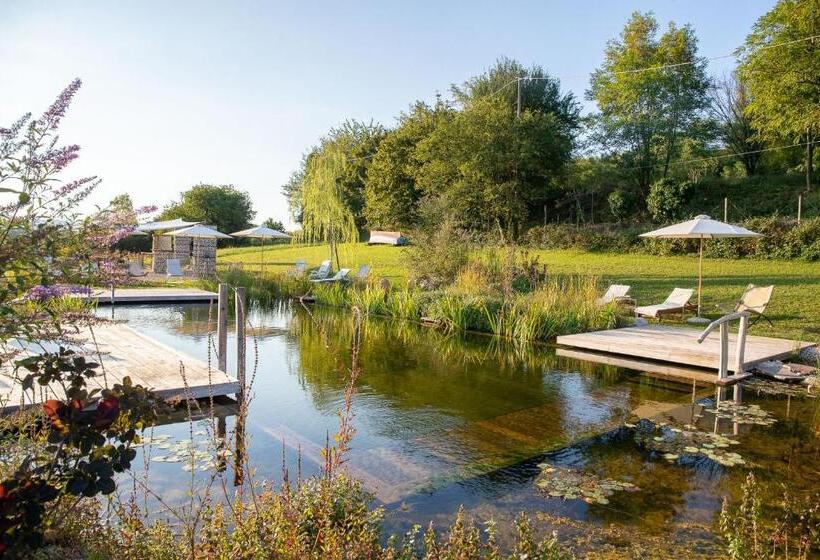 חדר סטנדרט לארבעה, Casa Viva