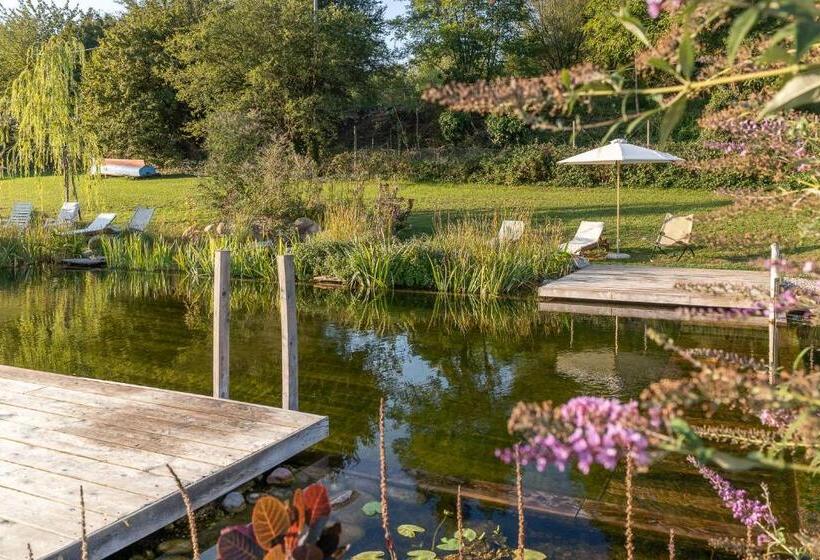 חדר סטנדרט לארבעה, Casa Viva