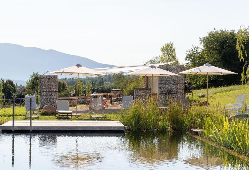 Четырехместный Номер Стандарт, Casa Viva