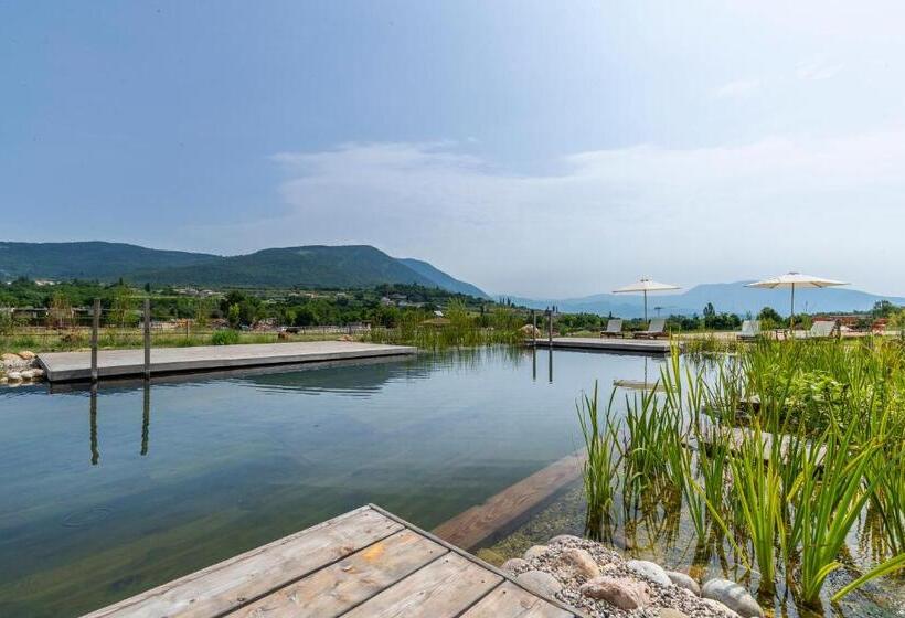 חדר סטנדרט לארבעה, Casa Viva