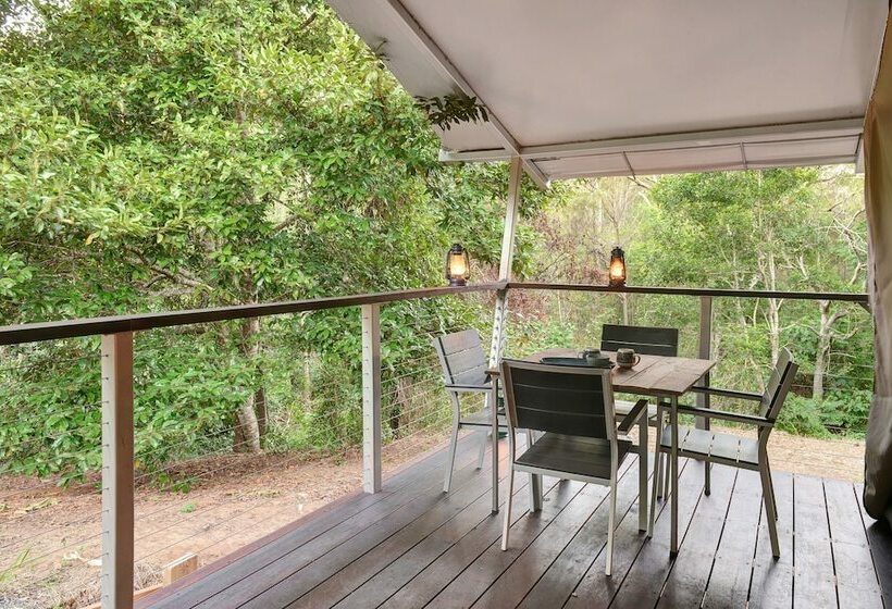 كوخ ديلوكس, Starry Nights Luxury Camping