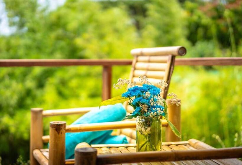 חדר סטנדרט עם טרסה, Sea Dance Resort