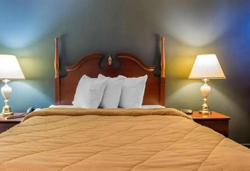 キングサイズベッドのスタンダードルーム, Econo Lodge