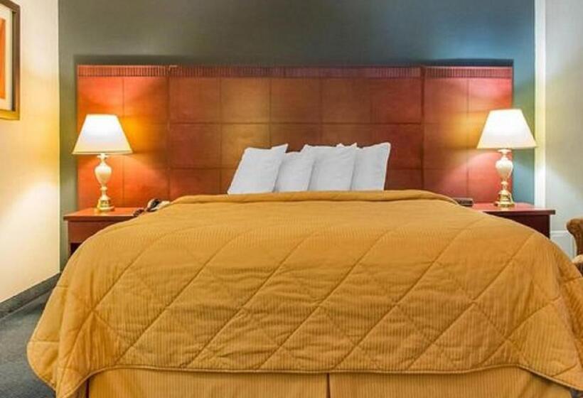 غرفة قياسية سرير كينج, Econo Lodge