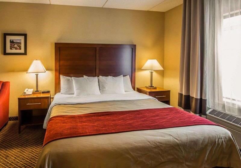 商务房间, Comfort Inn & Suites