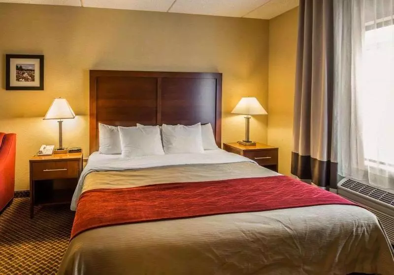 ビジネスルーム, Comfort Inn & Suites