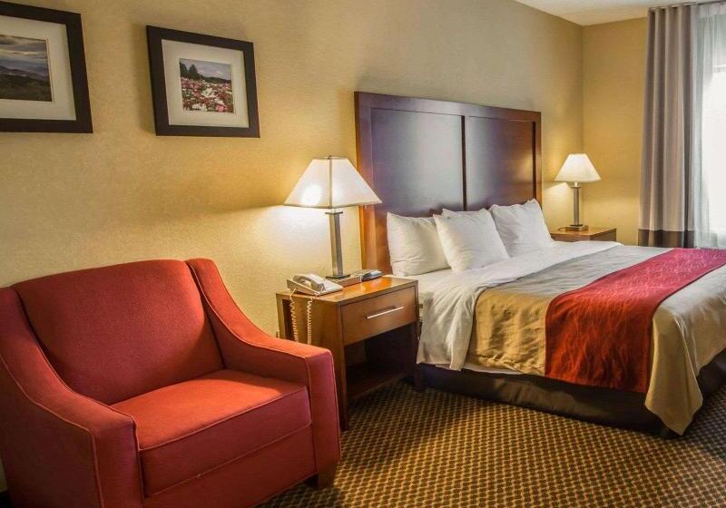 商务房间, Comfort Inn & Suites