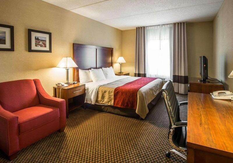 商务房间, Comfort Inn & Suites