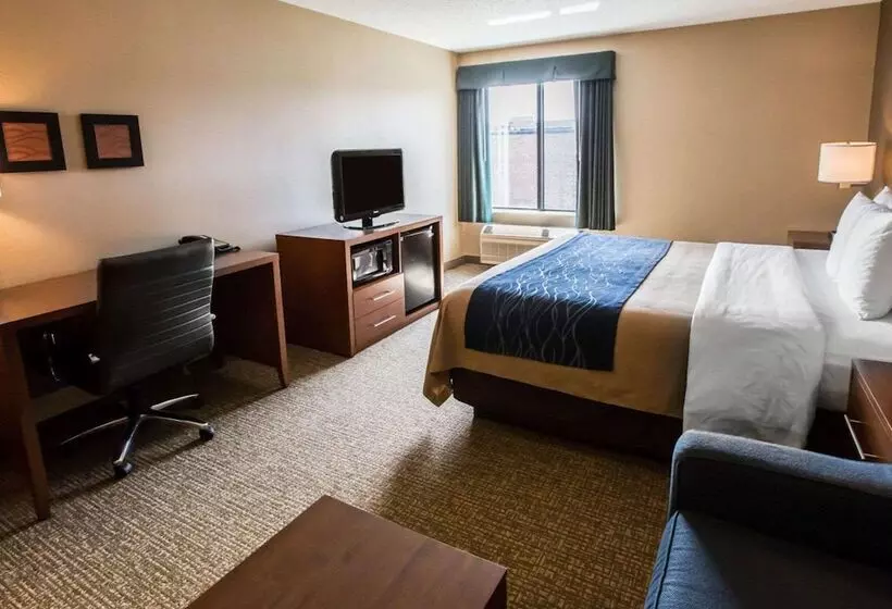 スイート, Comfort Inn Crystal Lake   Algonquin