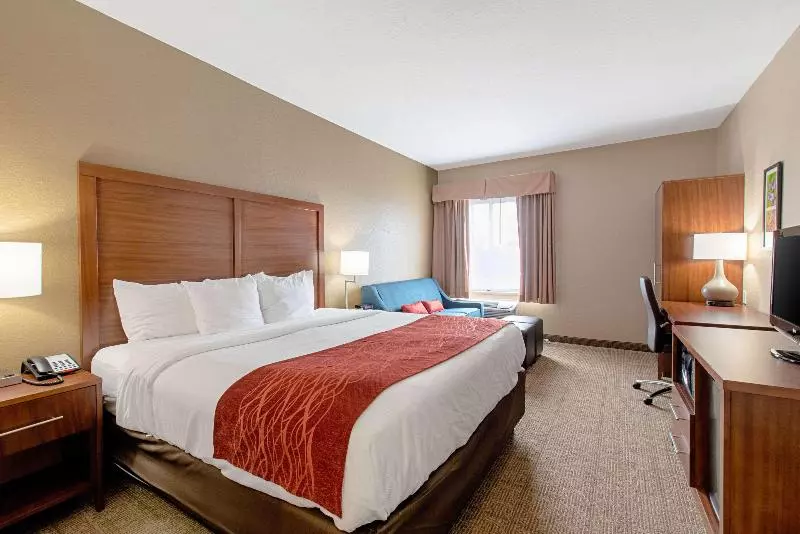 キングサイズベッドのスタンダードルーム, Comfort Inn & Suites And Suites Fredericksburg