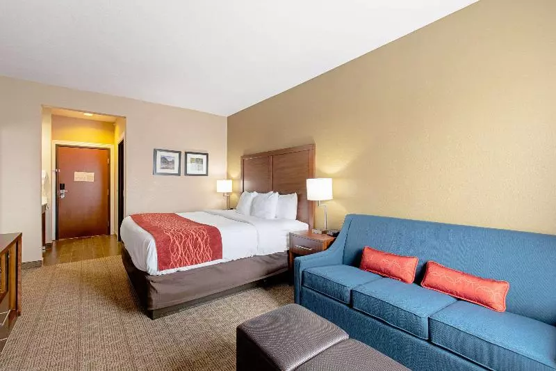 キングサイズベッドのスタンダードルーム, Comfort Inn & Suites And Suites Fredericksburg