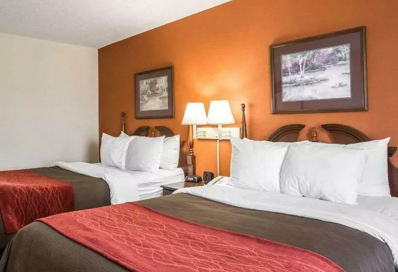 ２ダブルベッドのスタンダードルーム, Comfort Inn & Suites At I 85