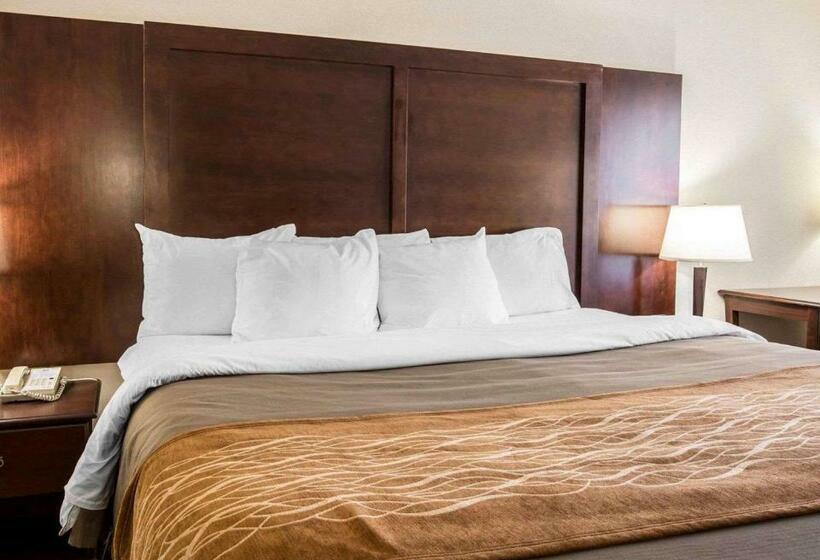 غرفة قياسية سرير كينج, Comfort Inn & Suites At I 85
