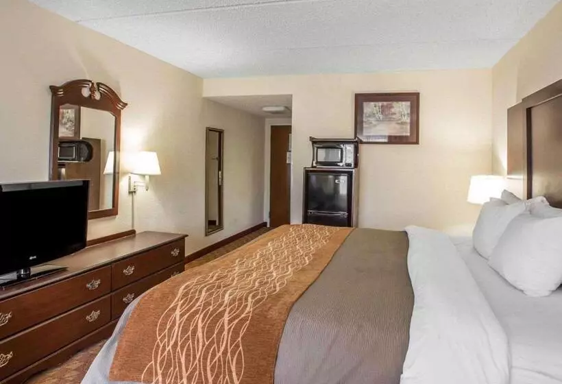 キングサイズベッドのスタンダードルーム, Comfort Inn & Suites At I 85