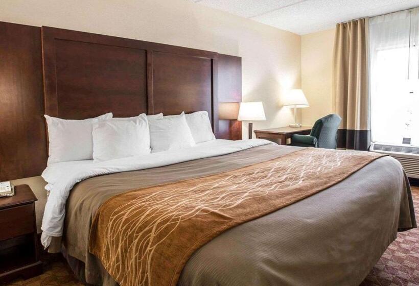 キングサイズベッドのスタンダードルーム, Comfort Inn & Suites At I 85