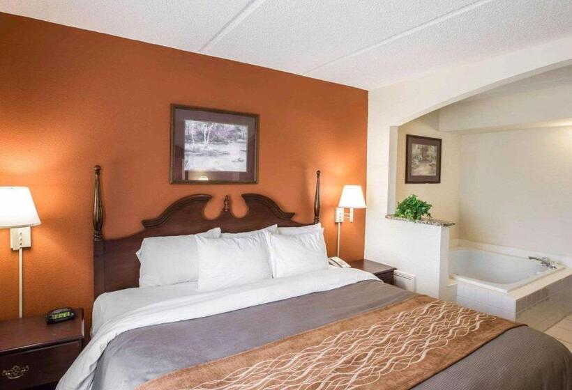 جناح سرير كينج, Comfort Inn & Suites At I 85