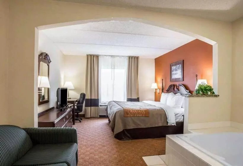 キングサイズベッドのスイートルーム, Comfort Inn & Suites At I 85
