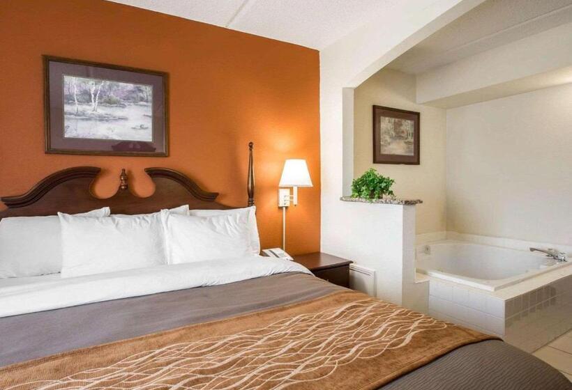 キングサイズベッドのスイートルーム, Comfort Inn & Suites At I 85