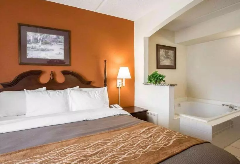 キングサイズベッドのスイートルーム, Comfort Inn & Suites At I 85