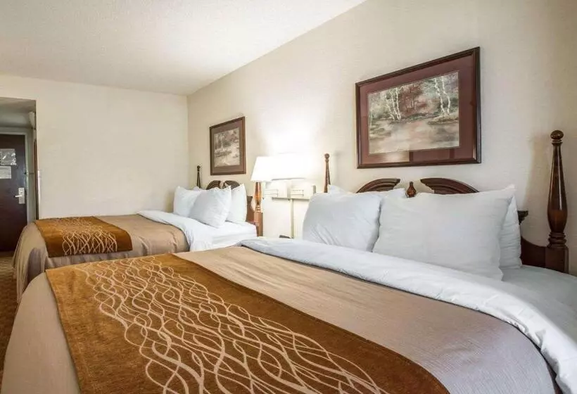 身障者適用スイートルーム, Comfort Inn & Suites At I 85