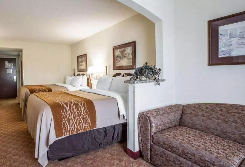 身障者適用スイートルーム, Comfort Inn & Suites At I 85