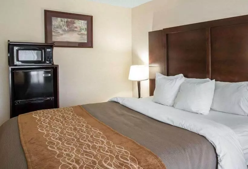 身障者適用キングサイズベッドルーム, Comfort Inn & Suites At I 85