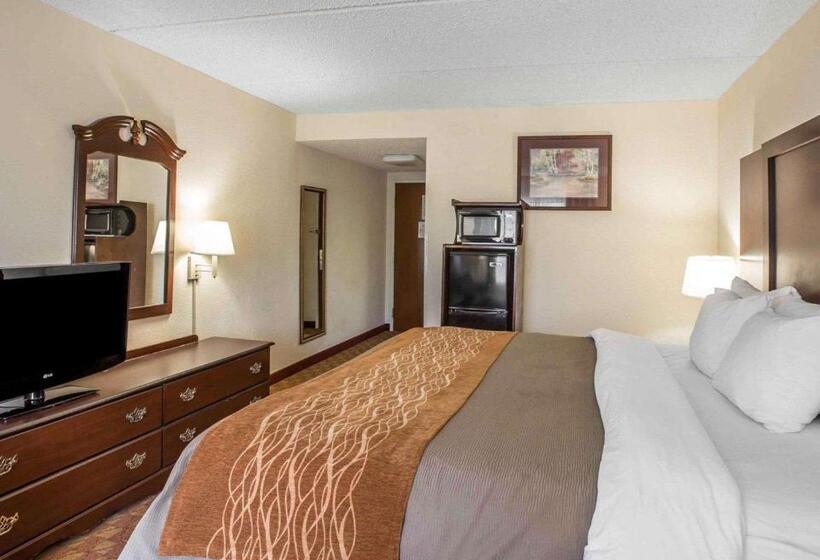 身障者適用キングサイズベッドルーム, Comfort Inn & Suites At I 85