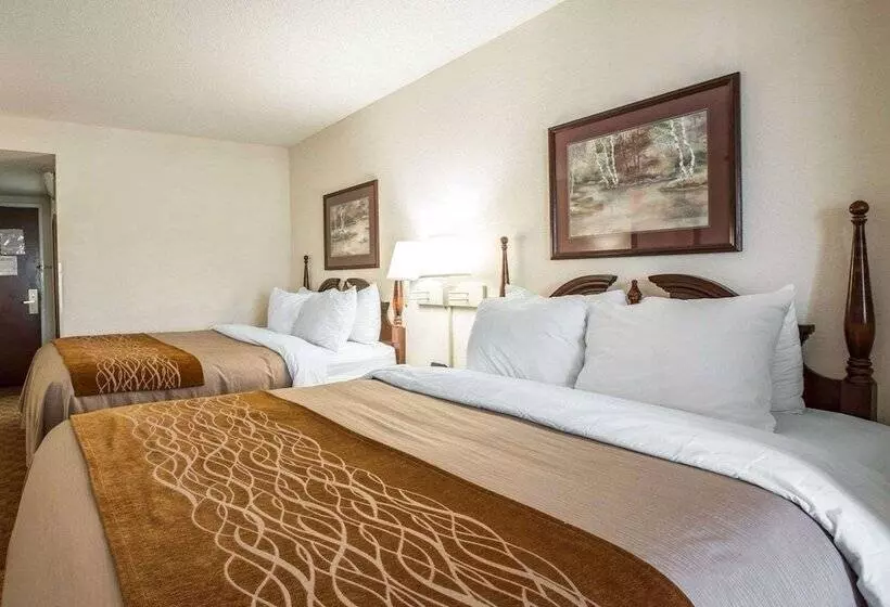２ダブルベッドのスタンダードルーム, Comfort Inn & Suites At I 85