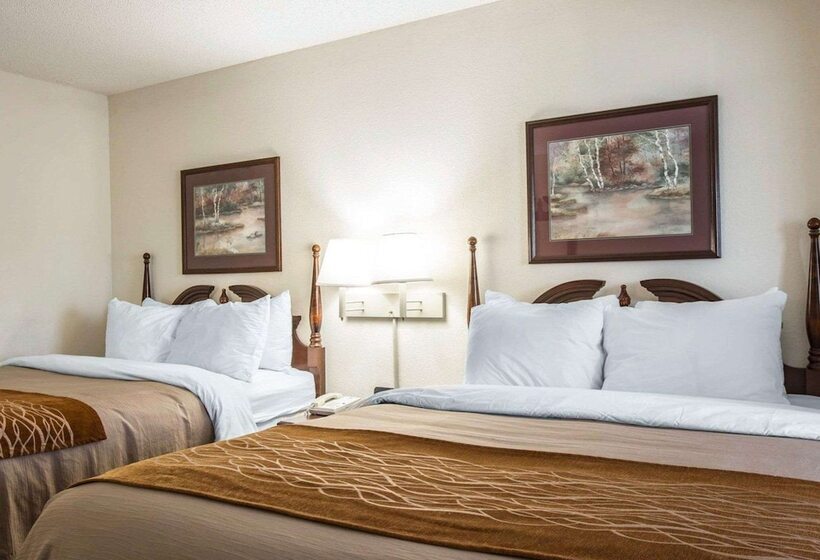 ２ダブルベッドのスタンダードルーム, Comfort Inn & Suites At I 85