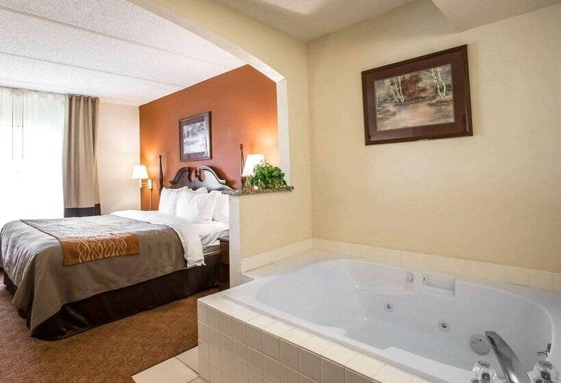 スイート, Comfort Inn & Suites At I 85