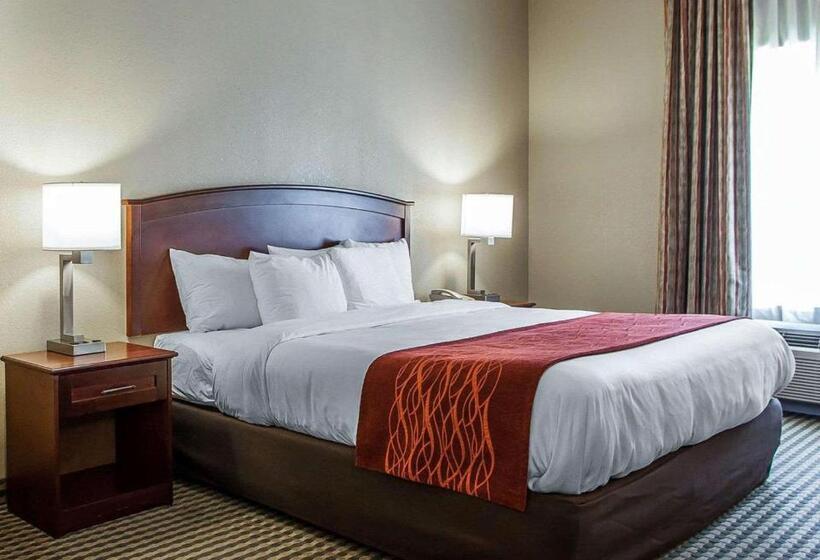 스탠다드 룸 킹사이즈 침대, Comfort Inn & Suites Carneys Point