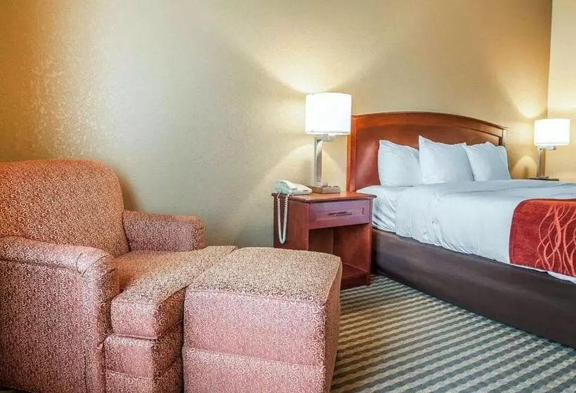 キングサイズベッドのスタンダードルーム, Comfort Inn & Suites Carneys Point