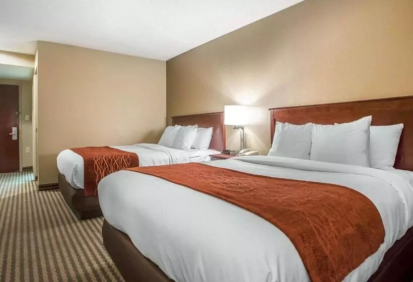 Standard-huone, Comfort Inn & Suites Carneys Point