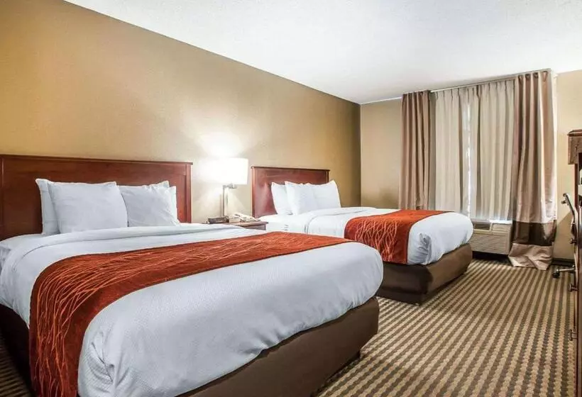 Standard-huone, Comfort Inn & Suites Carneys Point