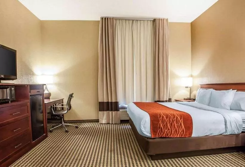 Sviitti King-vuode, Comfort Inn & Suites Carneys Point