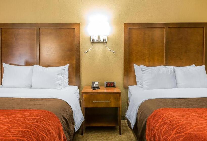 غرفة قياسية سرير كينج لذوى الإحتياجات الخاصة, Comfort Inn & Suites