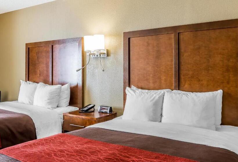 장애인을 위한 킹사이즈 침대 스탠다드 룸, Comfort Inn & Suites