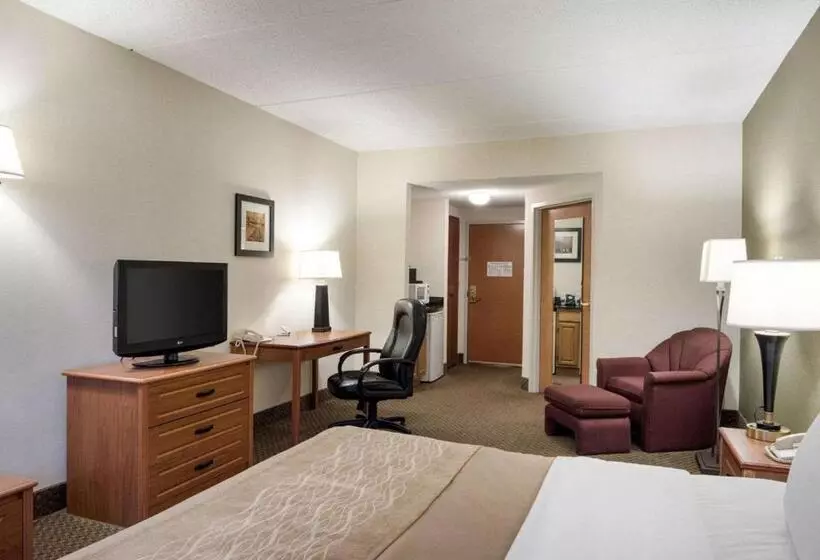 キングサイズベッドのスタンダードルーム, Comfort Inn & Suites Lavale  Cumberland