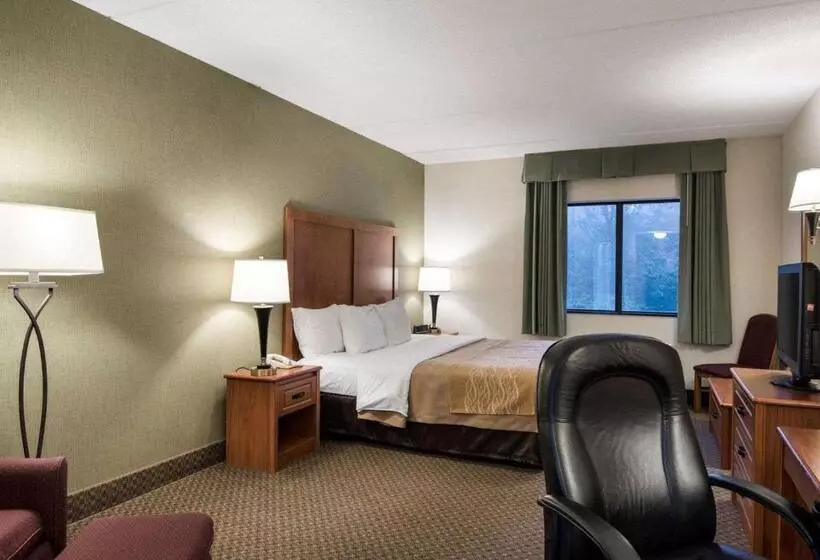キングサイズベッドのスタンダードルーム, Comfort Inn & Suites Lavale  Cumberland
